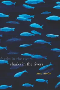 Sharks in the Rivers_cover