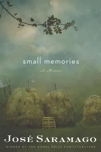 Small Memories_cover