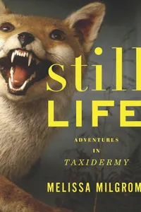 Still Life_cover