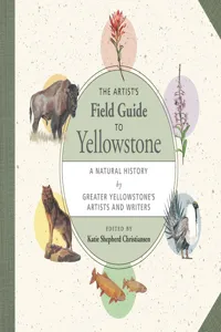 The Artist's Field Guide to Yellowstone_cover