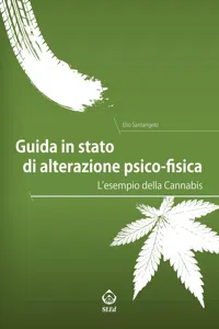 Guida in stato di alterazione psico-fisica_cover