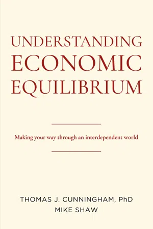 Understanding Economic Equilibrium