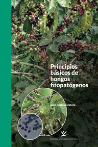 Principios básicos de hongos fitopatógenos_cover