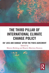 The Third Pillar of International Climate Change Policy_cover