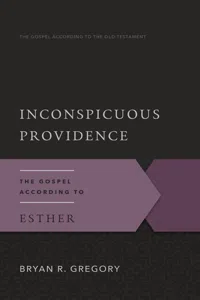 Inconspicuous Providence_cover