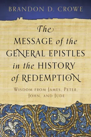 The Message of the General Epistles in the History of Redemption