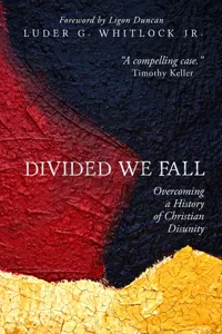 Divided We Fall_cover