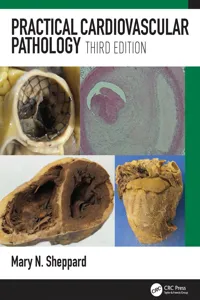 Practical Cardiovascular Pathology_cover