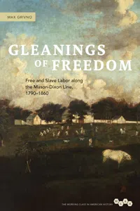 Working Class in American History_cover