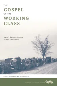 Working Class in American History_cover