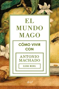 El mundo mago_cover