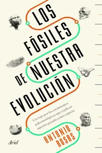 Los fósiles de nuestra evolución_cover