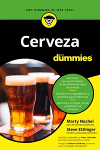 Cerveza para Dummies_cover