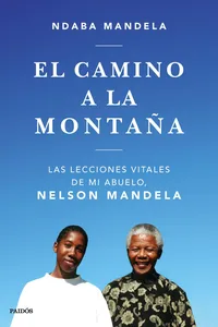 El camino a la montaña_cover