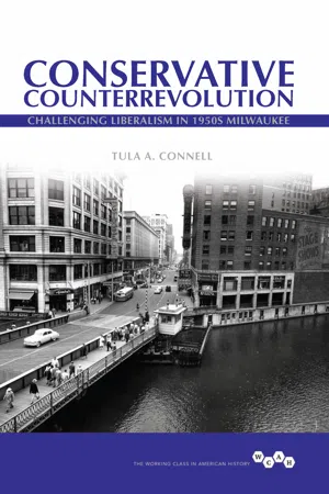 Conservative Counterrevolution