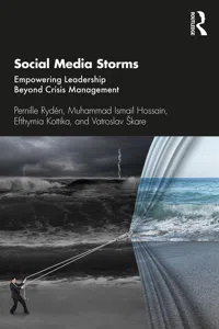 Social Media Storms_cover