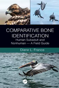 Comparative Bone Identification_cover