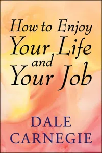 How to Enjoy Your Life and Your Job_cover