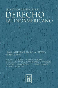 Principios generales de derecho latinoamericano_cover