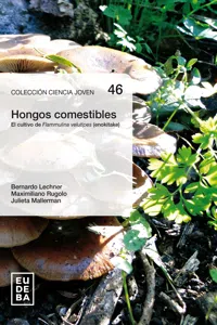 Hongos comestibles_cover