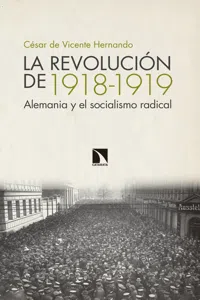 La revolución de 1918-1919_cover