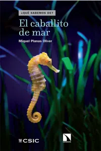 El caballito de mar_cover