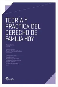 Teoría y práctica del derecho de familia hoy_cover