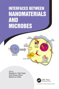 Interfaces Between Nanomaterials and Microbes_cover