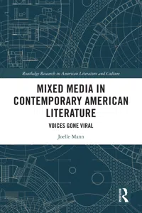 Mixed Media in Contemporary American Literature_cover