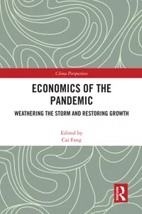 Economics of the Pandemic_cover