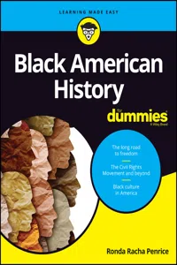 Black American History For Dummies_cover