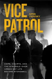 Vice Patrol_cover