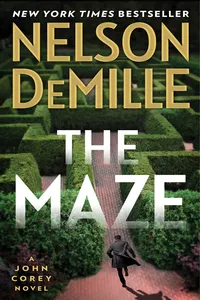 The Maze_cover