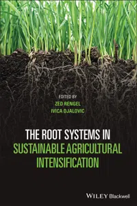 The Root Systems in Sustainable Agricultural Intensification_cover