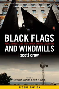 Black Flags and Windmills_cover