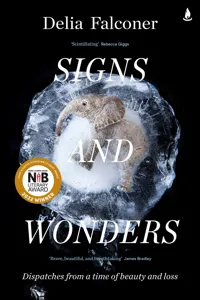 Signs and Wonders_cover