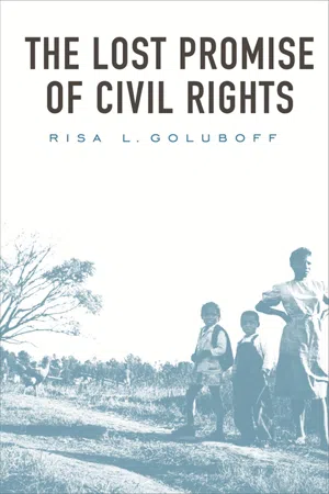 The Lost Promise of Civil Rights
