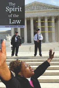 The Spirit of the Law_cover
