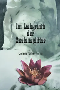 Im Labyrinth der Seelensplitter_cover