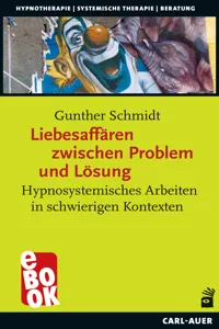 Liebesaffären zwischen Problem und Lösung_cover