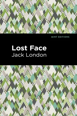 Lost Face