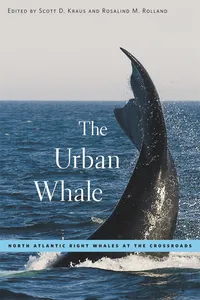 The Urban Whale_cover