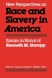 New Perspectives on Race and Slavery in America_cover