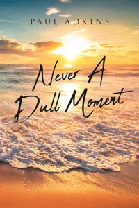 Never A Dull Moment_cover