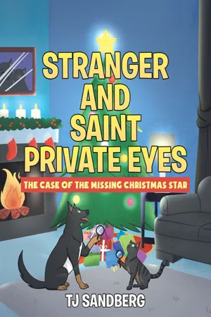 Stranger and Saint Private Eyes