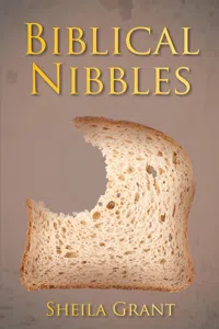 Biblical Nibbles_cover