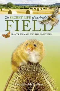 The Secret Life of an Arable Field_cover