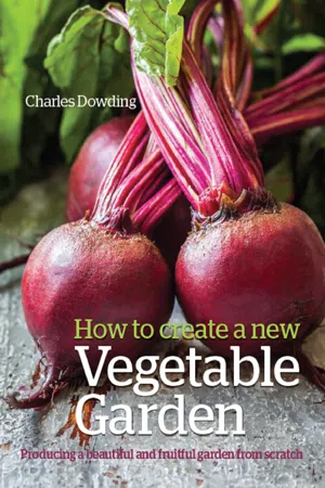 How to Create a New Vegetable Garden