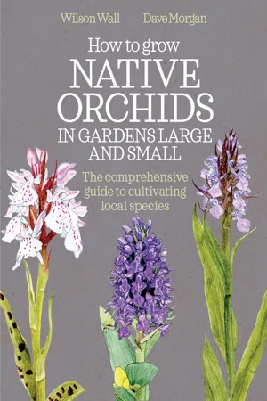 How to Grow Native Orchids in Gardens Large and Small