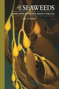 The Lives of Seaweeds_cover